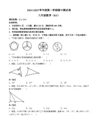 河南省周口市鹿邑县老君台中学2024-2025学年八年级上学期期中数学试卷(无答案)