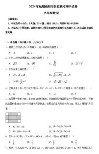 南阳名校联考2024-2025学年九上期中数学试卷及答案