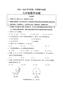 江苏省徐州市邳州市2024—2025学年上学期期中考试九年级数学试卷