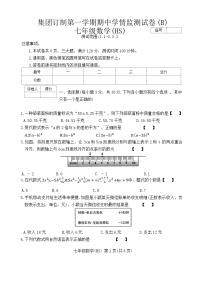 河南省周口市沈丘县中英文学校等2024-2025学年七年级上学期11月期中数学试题