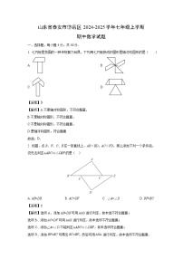 山东省泰安市岱岳区2024-2025学年七年级上学期期中数学试卷（解析版）