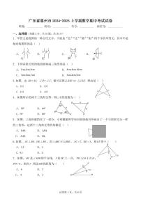 广东惠州2024年八年级上学期数学期中考试试卷+答案