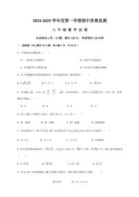 广东茂名茂南区部分学校2024年八年级上学期期中考试数学试题