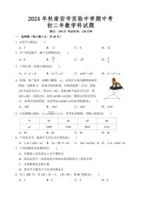 福建省泉州市南安市实验中学2024～2025学年八年级上学期期中考试数学试卷（含详解）