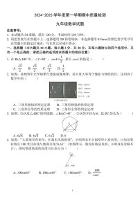 山东省菏泽市单县2024～2025学年九年级上学期期中数学试题（含答案）