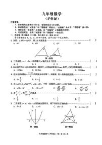 安徽省滁州市安师大苏滁第二实验学校2023-2024学年九年级上学期期中考试数学试卷