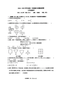 陕西省宝鸡金台区2024-2025学年上学期七年级数学期中检测试题