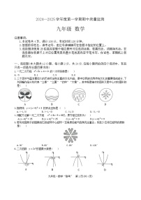 贵州省黔南布依族苗族自治州平塘县2024-2025学年九年级上学期11月期中数学试题