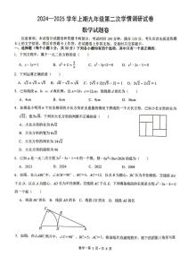 河南省周口市商水县2024----2025学年上学期九年级期中考试数学试卷