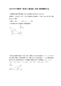 2025年中考数学一轮复习 解直角三角形 解答题练习五（含答案）