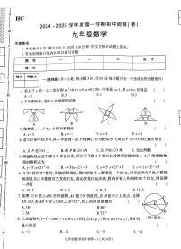 陕西省渭南市韩城市2024-2025学年九年级上学期11月期中数学试题