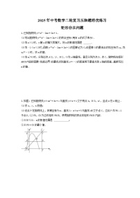 2025年中考数学二轮复习压轴题培优练习 矩形存在问题（含答案）