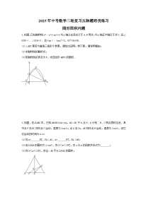 2025年中考数学二轮复习压轴题培优练习 图形面积问题（含答案）