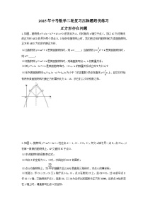 2025年中考数学二轮复习压轴题培优练习 正方形存在问题（含答案）