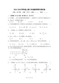 河南省驻马店市第四中学2024-2025学年八年级上学期11月期中数学试题