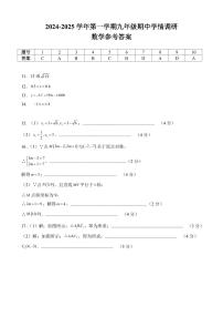 安徽省芜湖市无为市初中十校联考2024-2025学年九年级上学期11月期中数学试题