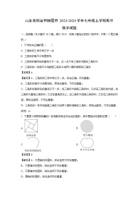 山东省烟台市栖霞市2023-2024学年七年级上学期期中数学试卷（解析版）