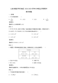 山东省临沂市沂南县2023-2024学年七年级上学期期中数学试卷（解析版）