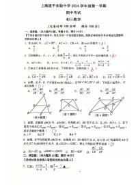 上海市建平实验中学2024-2025学年九年级上学期11月期中考试数学试题