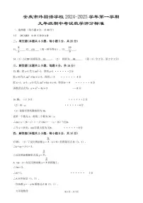 安徽省安庆市大观区安庆市外国语学校2024-2025学年九年级上学期11月期中数学试题