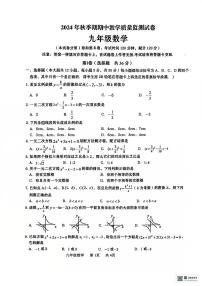 广西贵港市覃塘区2024-2025学年九年级上学期期中检测数学试题