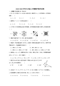 湖北省武汉市蔡甸区2024-2025学年九年级上学期期中数学试卷