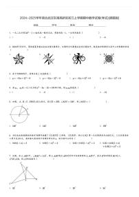 2024～2025学年湖北武汉东湖高新区初三上学期期中数学试卷(考试)[原题+解析版]