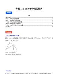 专题12.3 角的平分线的性质（5考点+过关检测）-【学霸满分】2024-2025学年八年级数学上册重难点专题提优训练（人教版）