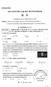 广西柳州市2024-2025学年七年级上学期11月期中考试数学试题