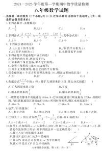 河北省石家庄市栾城区2024-2025学年八年级上学期期中考试数学试题