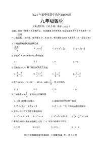 广西壮族自治区贵港市桂平市2024-2025学年九年级上学期11月期中数学试题