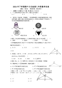 湖南省长沙市宁乡市西部乡镇2024-2025学年八年级上学期11月期中考试数学试题