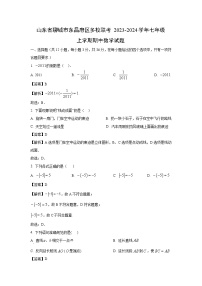 山东省聊城市东昌府区多校联考2023-2024学年七年级上学期期中数学试卷（解析版）