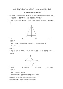 山东省威海市乳山市（五四制）2024-2025学年七年级上学期期中考试数学试卷（解析版）