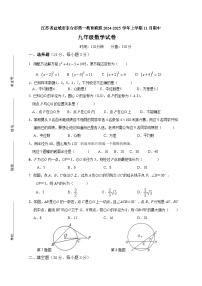 江苏省盐城市东台市第一教育联盟2024-2025学年九年级上学期11月期中数学试题