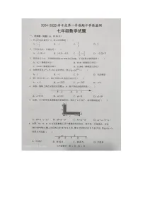 山东省济宁市金乡县2024-2025学年上学期七年级数学期中考试题