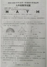 山东省济宁市金乡县2024-2025学年九年级上学期期中考试数学试题