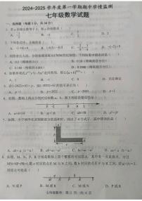 山东省济宁市金乡县2024-2025学年七年级上学期期中考试数学试题