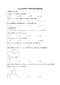 福建省泉州市东海中学2024-2025学年九年级上学期数学科期中质量监测