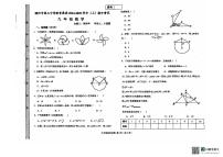 河南省濮阳市第三中学2024-2025学年九年级上学期期中考试数学试卷