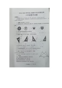 河南省信阳市息县2024-2025学年八年级上学期11月期中数学试题