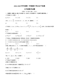 山东省聊城市莘县2024-2025学年七年级上学期11月期中数学试题(无答案)