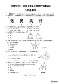 湖北省孝感市安陆市2024-2025学年八年级上学期期中质量调研数学试题