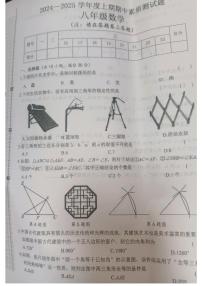 河南省驻马店市汝南县2024-2025学年八年级上学期11月期中考试数学试题