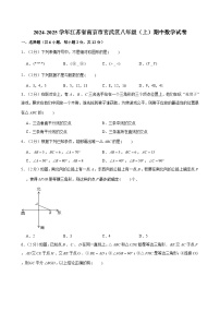 2024-2025学年江苏省南京市玄武区八年级（上）期中数学试卷（含解析）