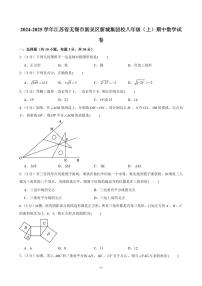 2024-2025学年江苏省无锡市新吴区新城集团校八年级（上）期中数学试卷