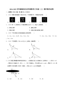 2024-2025学年湖南省长沙市浏阳市八年级（上）期中数学试卷（含解析）