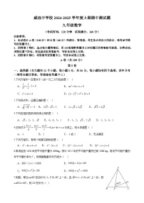 四川省内江市威远中学2024-2025学年九年级上学期期中考试数学试题