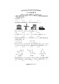 江苏省镇江市丹徒区2024-2025学年八年级上学期11月期中考试数学试题