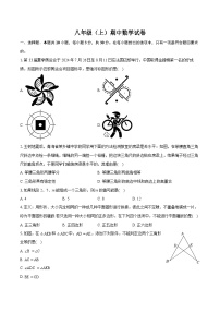 +广东省惠州市八校联考2024-2025学年八年级上学期期中数学试卷